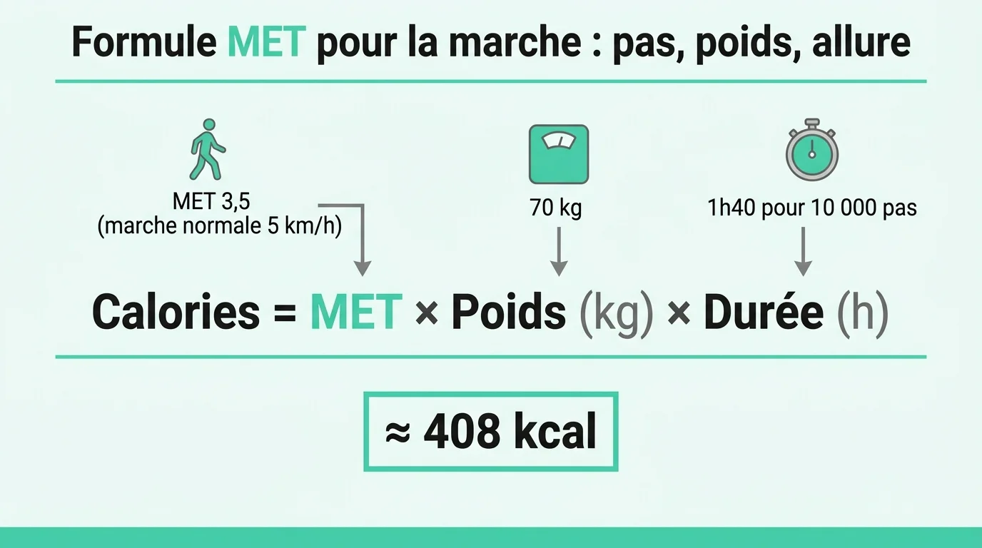 Formule MET pour la marche : pas, poids, allure